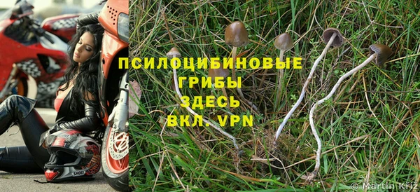 прущий лед Алзамай