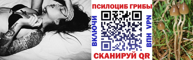 где купить наркоту Ермолино Галлюциногенные грибы ЛСД